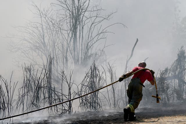 <p>A grass fire on Leyton Flats, east London on August 12, 2022, as England experienced its driest summer in 50 years</p>