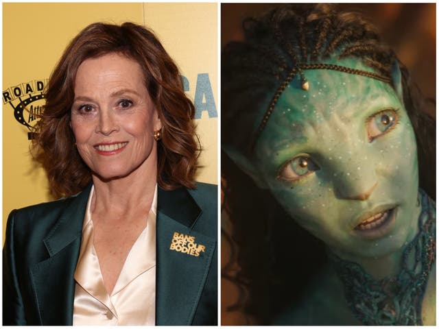 <p>Sigourney Weaver and Avatar 2</p>