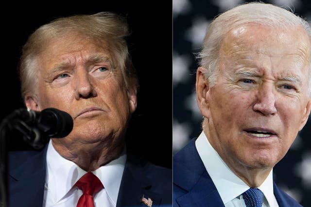 <p>Race for the White House: Donald Trump and Joe Biden</p>