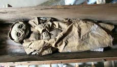 Mummified boy buried in unmarked grave 400 years ago identified as son of powerful Austrian count