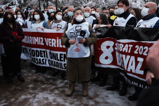 Turkey Activist Detained