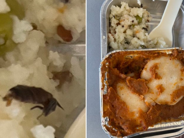 A picture of the alleged cockroach found in an inflight meal
