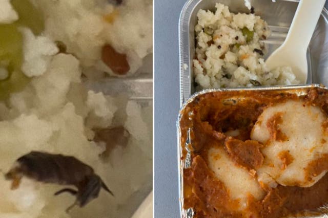 <p>A picture of the alleged cockroach found in an inflight meal</p>