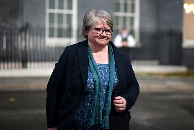 <p>The UK’s fifth environment minister in three years, Therese Coffey</p>