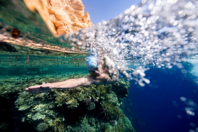 Lewis Pugh swims past a coral reef (Lewis Pugh Foundation/PA)