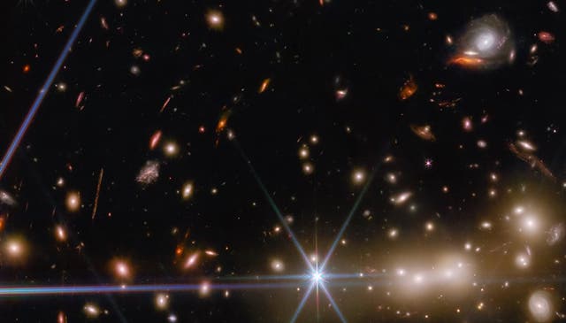 <p>A see of galaxies as seen by the James Webb Space Telescope</p>