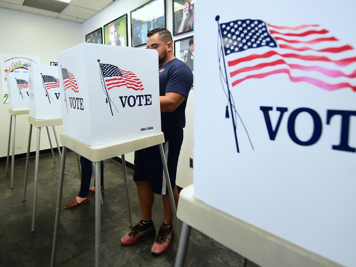 How to vote in the midterm elections 
