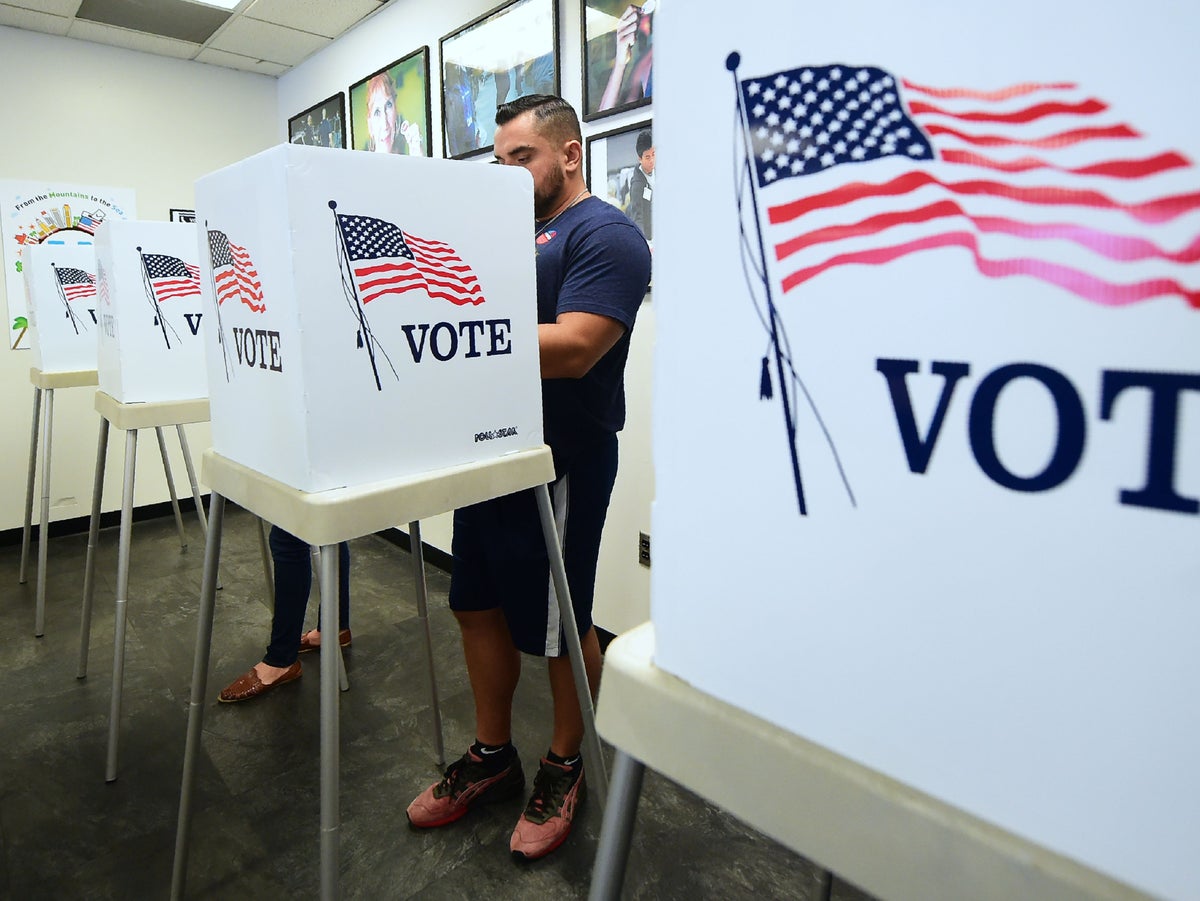 How to vote in the midterm elections