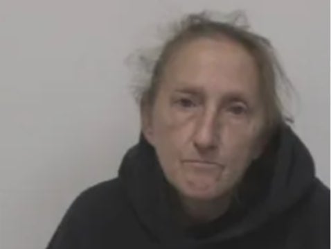 Shelley Barnes, the step-aunt of a 9-year-old boy who was kept in a dog kennel outside his home, was arrested and charged with felony child abuse