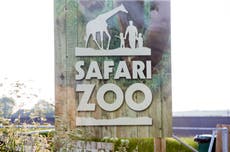 UK’s ‘worst zoo’ where 486 animals died and keeper was mauled to death ‘failed to meet basic standards’