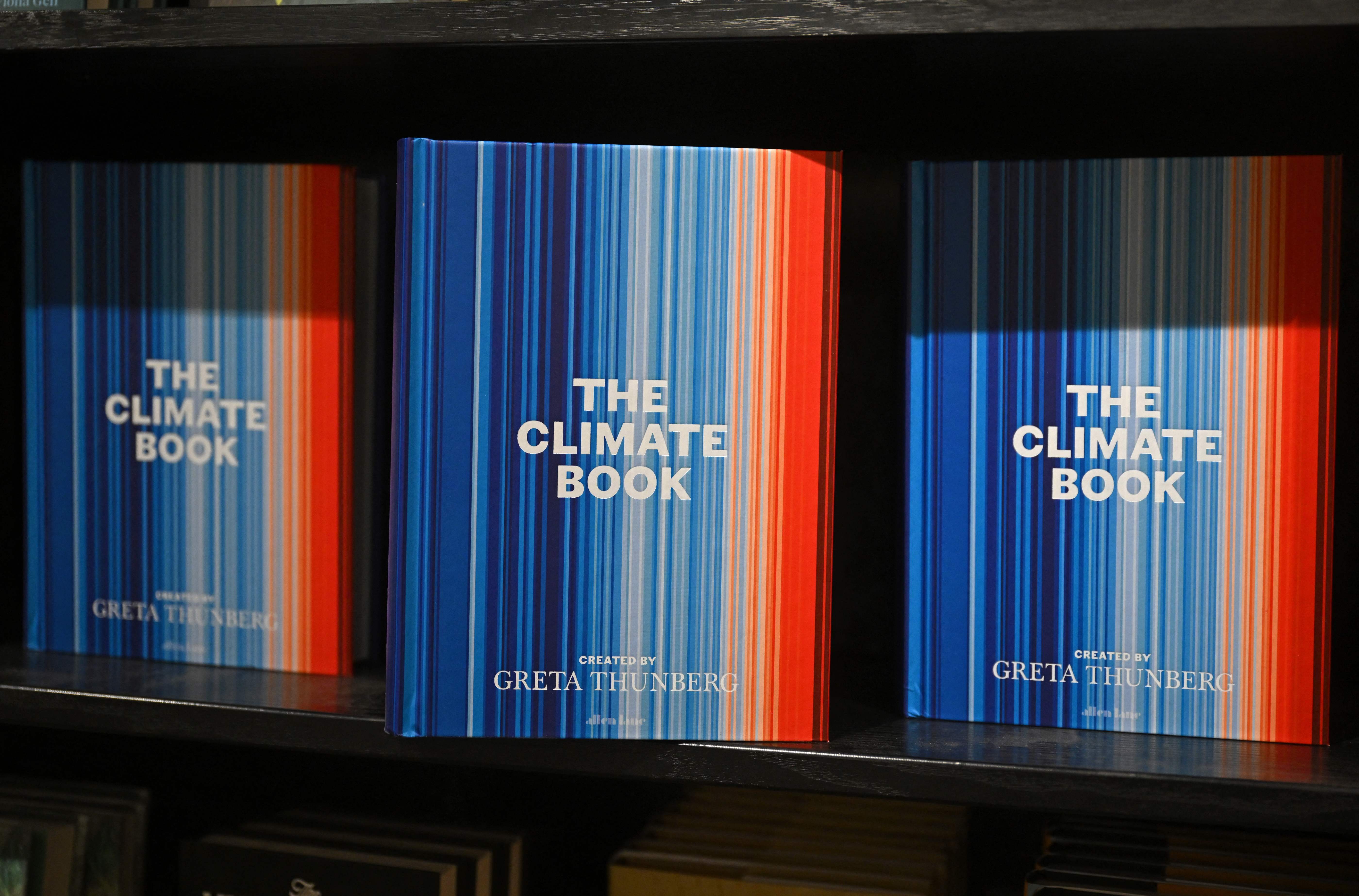 Copies of Greta Thunberg’s ‘The Climate Book’ for sale in London on October 27 2022