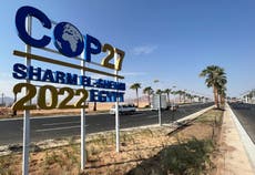 Rishi Sunak to skip crucial Cop27 climate summit in Egypt, No 10 reveals