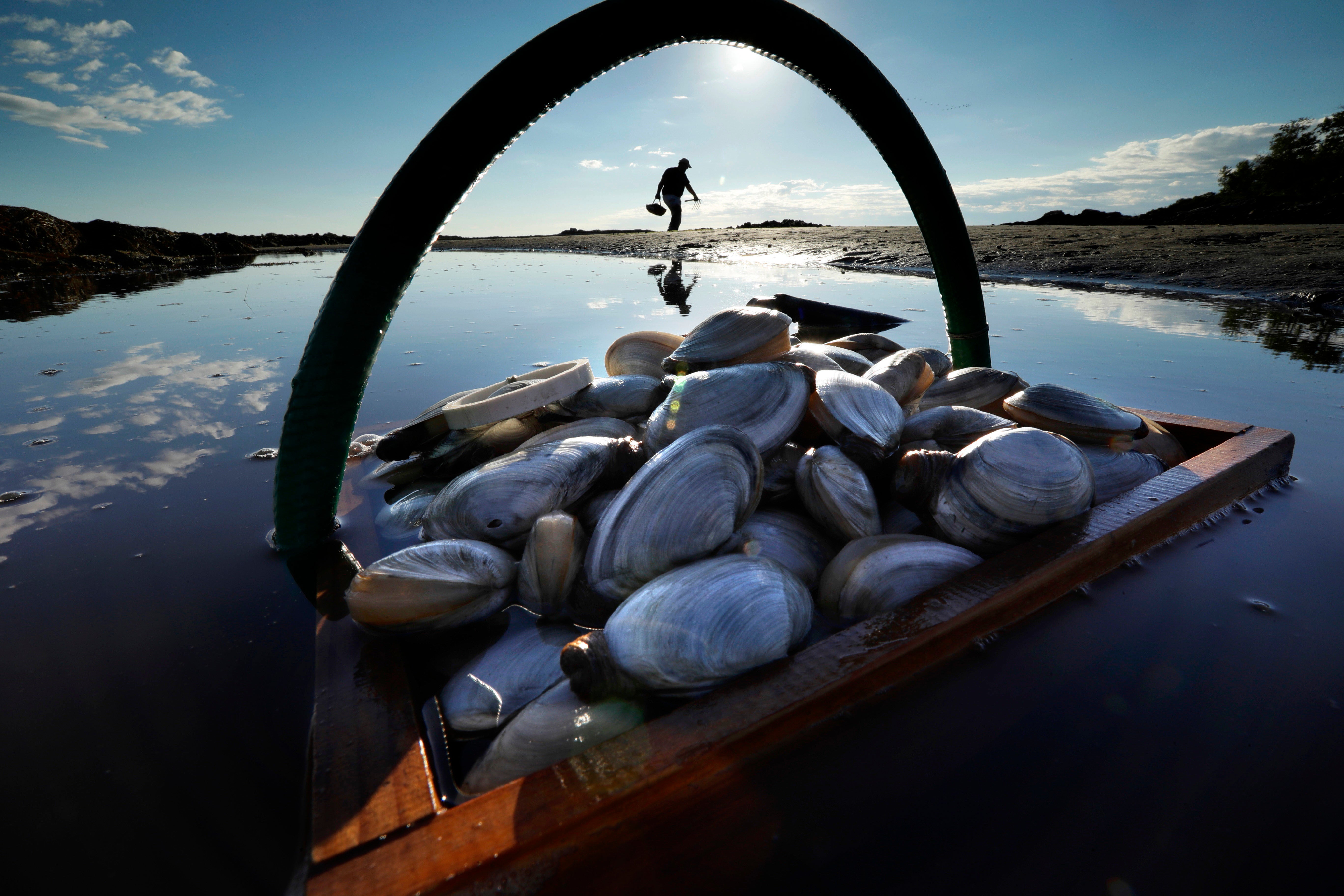 Climate Fishery Shutdown