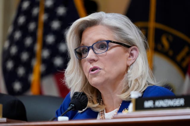 <p>Liz Cheney, R-Wyoming, speaks </p>