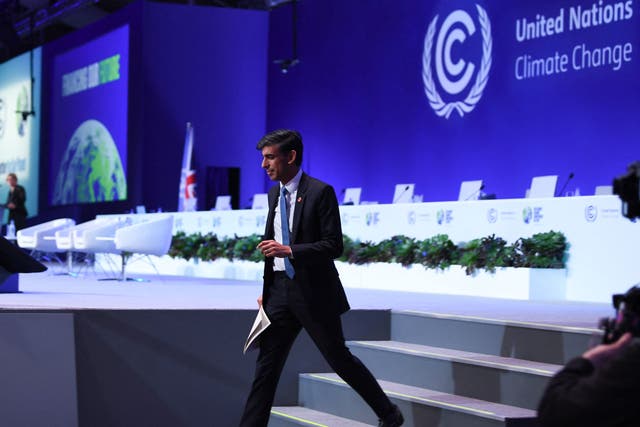 <p>Rishi Sunak will not attend the climate summit in Egypt because he has ’other pressing domestic commitments’ </p>