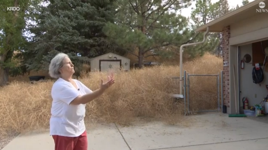 What to do with Tumbleweeds after invasion at homes across West Texas