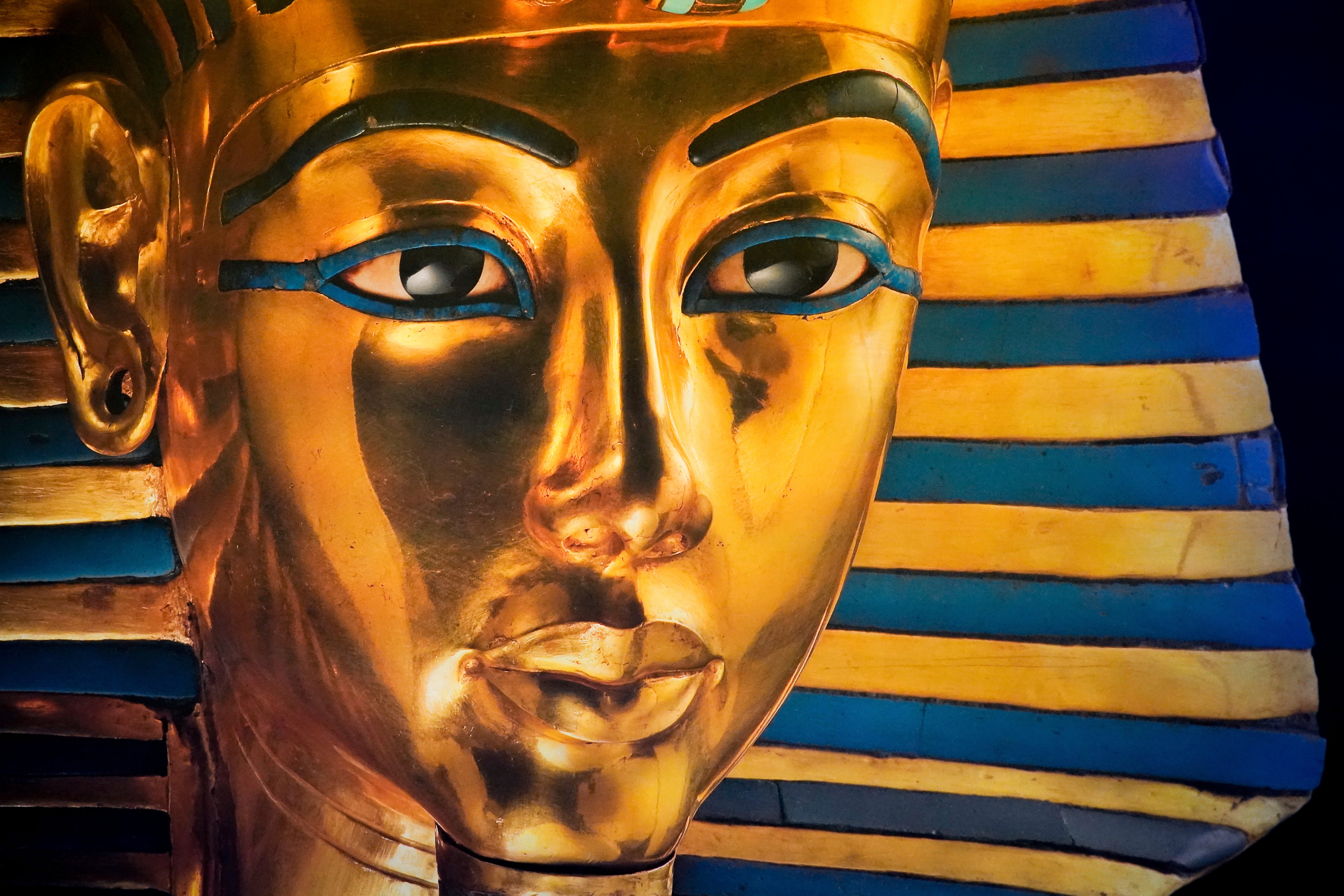 Beyond King Tut Immersive Experience