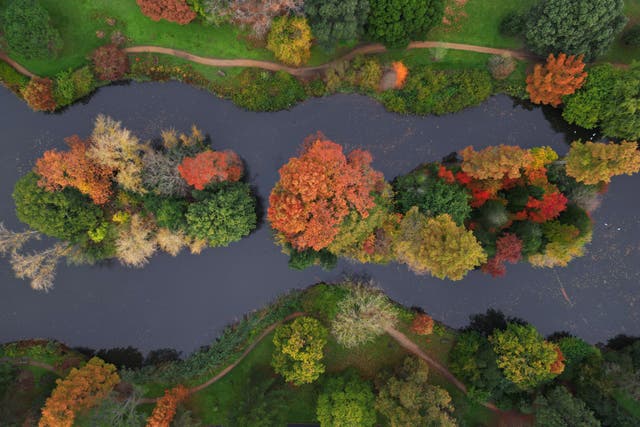 Warmer, drier weather, as seen across the UK this summer may have a big impact on autumn colour (Yui Mok/PA)