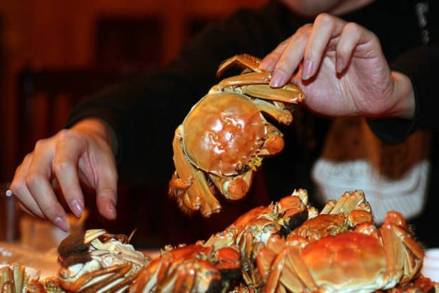 <p>People enjoy steamed hairy crabs at a restaurant on 15 November 2008 in Kunshan of Jiangsu Province, China</p>