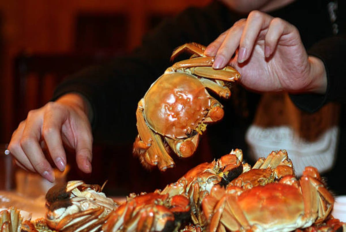 Un Chinois tombe gravement malade après avoir mangé du crabe vivant qui a pincé sa fille