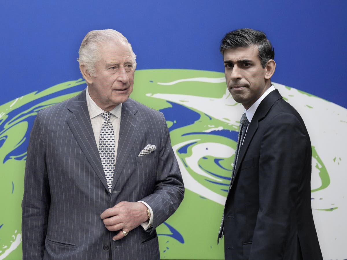 King Charles praised for planning own COP27 amid Rishi Sunak criticism