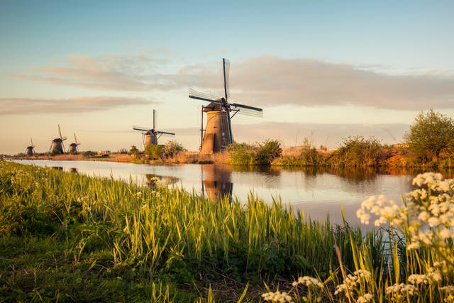 <p>Windmills in Kinderdijk, Netherlands</p>
