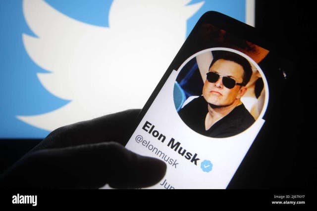 Elon Musk (Alamy/PA)