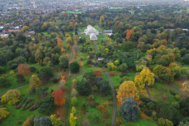 Autumn colours on display at the Royal Botanic Gardens, Kew (Yui Mok/PA)
