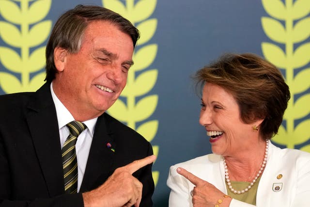 BRASIL ELECCIONES EL CAMPO