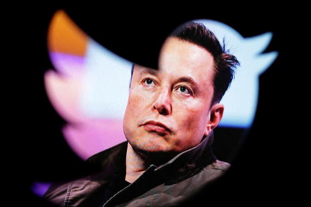 <p>‘The bird is freed,’ Musk tweeted, not long after the acquisition was made official – but what liberty means in this context is hard to gauge</p>