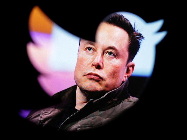 ‘The bird is freed,’ Musk tweeted, not long after the acquisition was made official – but what liberty means in this context is hard to gauge