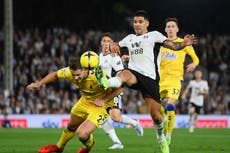 Fulham unable to make most of chances as Everton claim point at Craven Cottage