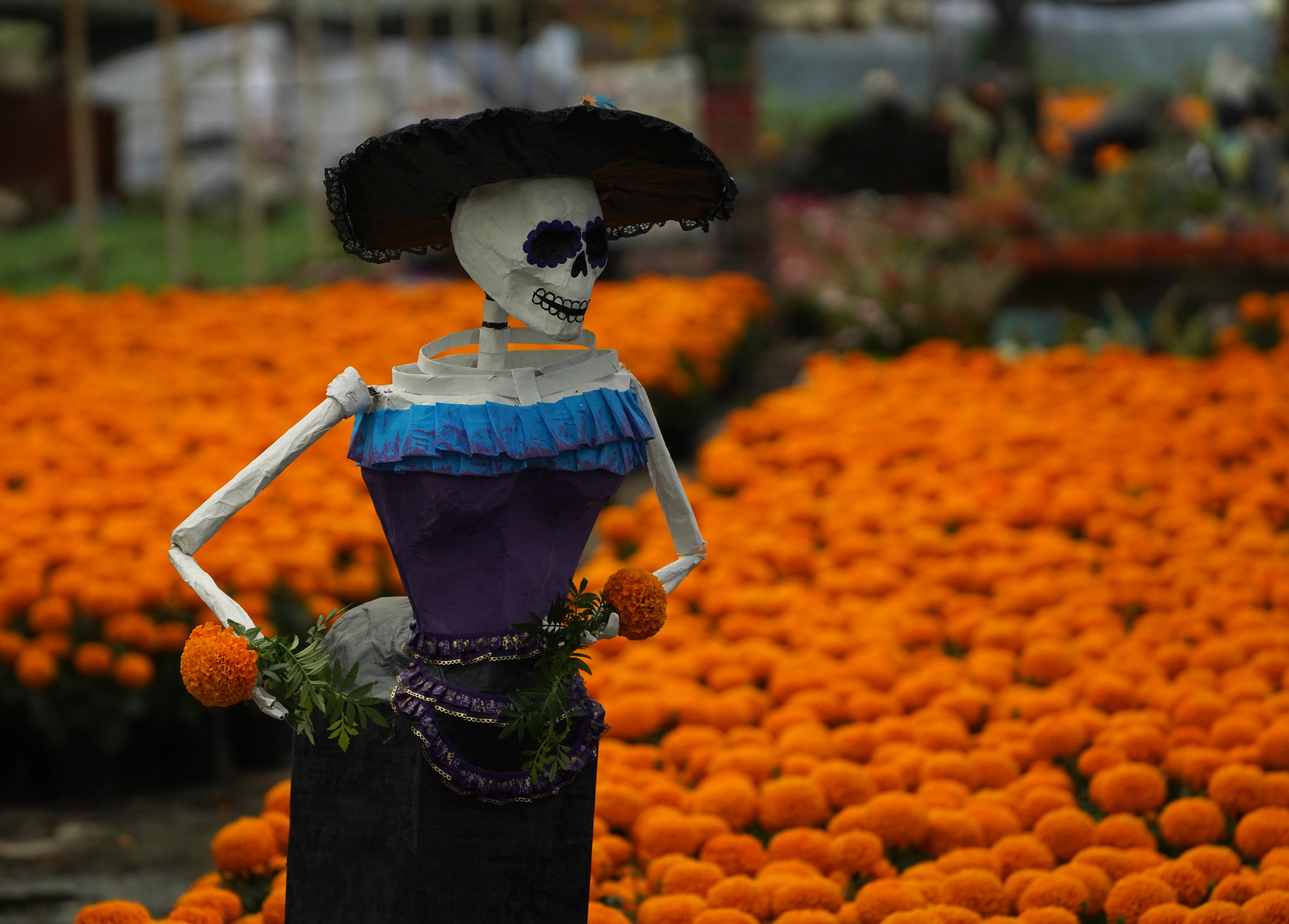Mexico Day of the Dead