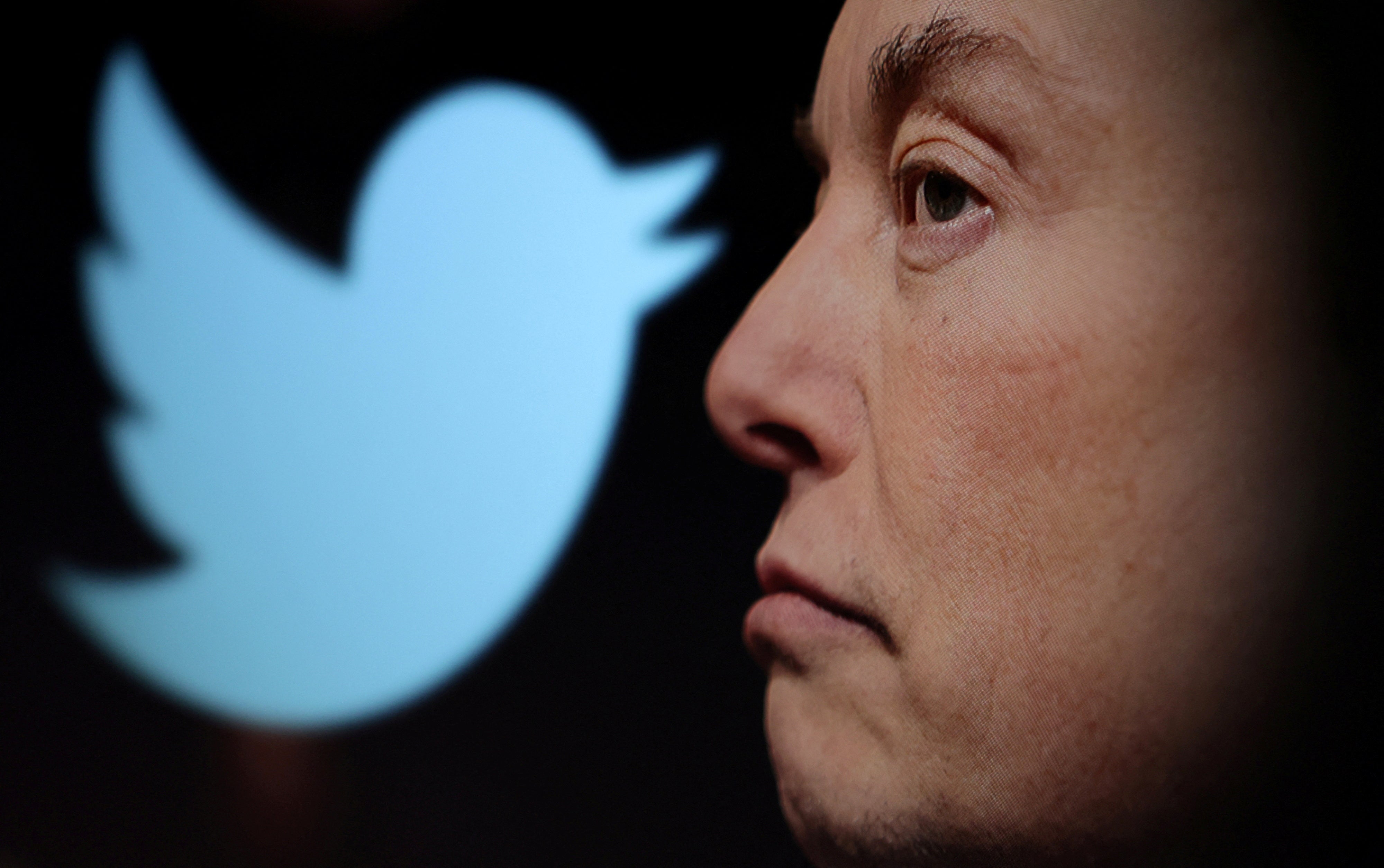 For Elon Musk, Twitter is a vanity purchase
