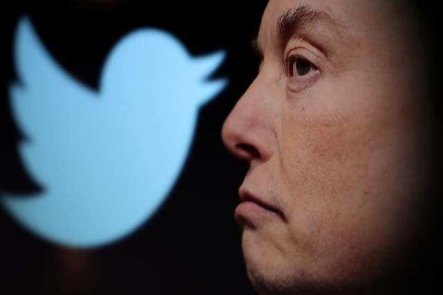 <p>For Elon Musk, Twitter is a vanity purchase</p>