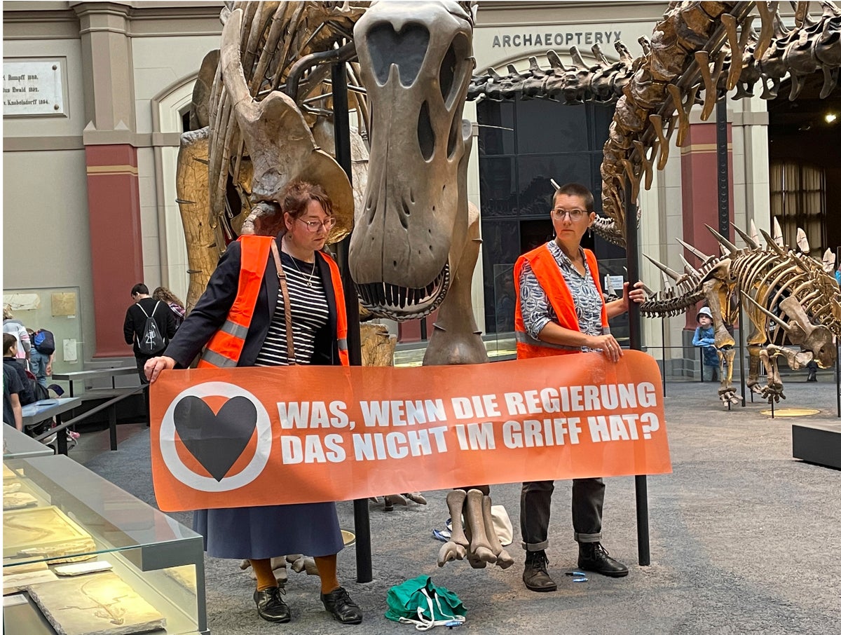 German climate activists glue themselves to dinosaur display
