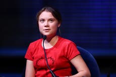 Greta Thunberg says Cop27 a ‘scam’ that provides platform for ‘greenwashing, lying and cheating’