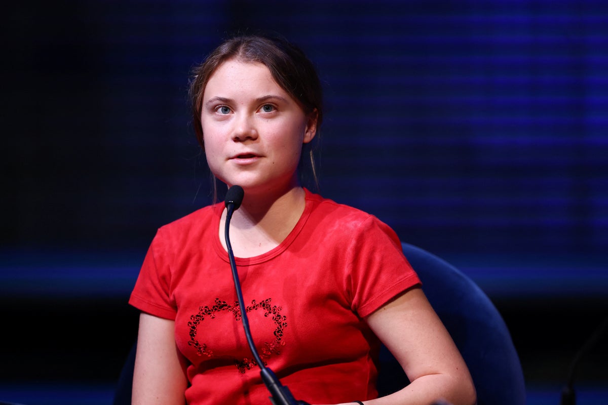 Greta Thunberg says Cop27 a ‘scam’ that provides platform for ‘greenwashing, lying and cheating’