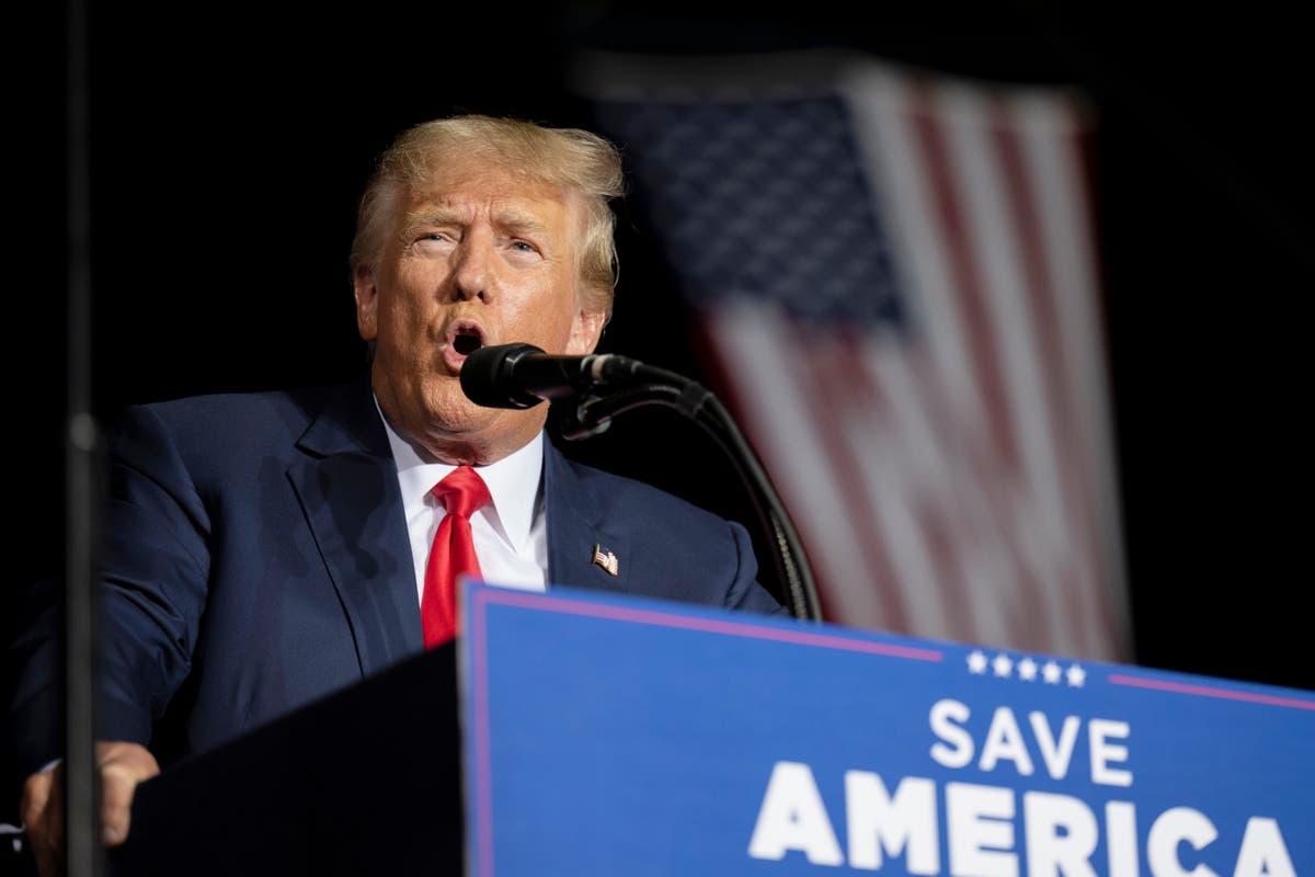 Elon Musk should let Donald Trump back on Twitter | The Independent