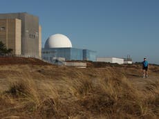 Scrapping Sizewell C nuclear plant would put net-zero at risk, ministers warned