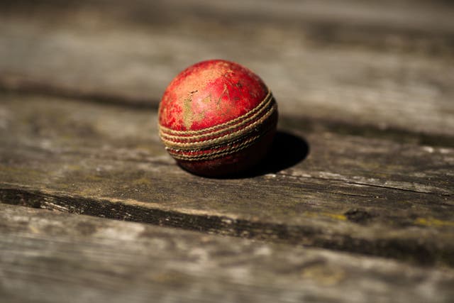 Cricket Scotland has taken the next steps to investigate allegations of racism (John Walton/PA)