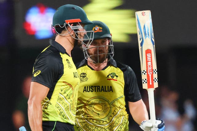 Aaron Finch, right, and Marcus Stoinis are injury concerns for Australia (Tertius Pickard/AP)