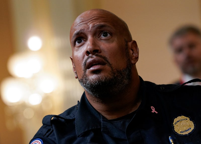 Pardoned Jan 6 felon heckles attacked former police officer Harry Dunn outside Capitol