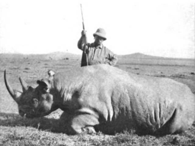 <p>Theodore Roosevelt stands above a black rhino he has just killed in 1911</p>