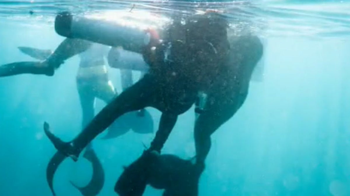 Scuba diver rescued by women in mermaid costumes off California coast