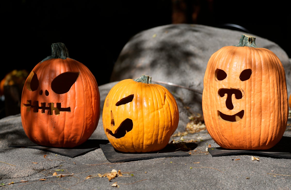 What can you do with pumpkins? Hold off before throwing them into the trash