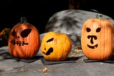 What can you do with pumpkins? Hold off before throwing them into the trash
