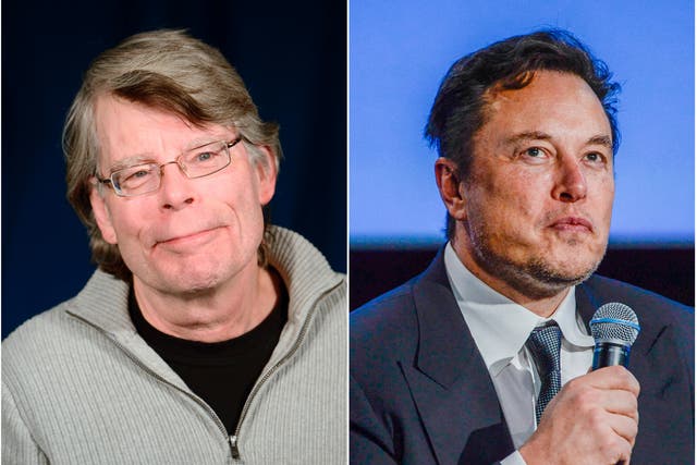 <p>Stephen King (left) and Elon Musk</p>