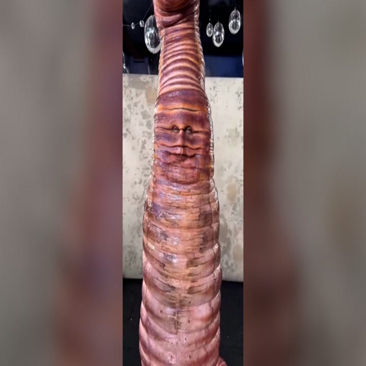 lady dressed as worm Heidi Klum transforms into for Halloween party | Culture label_us_USA 2 DAY DELIVERY