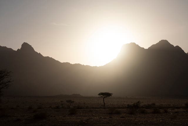 <p>Mountains in Tabuk, northwest Saudi Arabia </p>